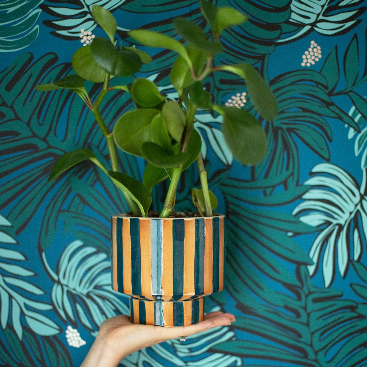 Jungalow® Aja Wallpaper In Teal By Justina Blakeney® - Surestrip 8 Jungalow® Aja Wallpaper In Teal By Justina Blakeney® - Surestrip