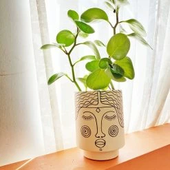 Jungalow® Planters Agatha Kaya Face Pot By Justina Blakeney™
