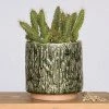 HomArt Cactus Planter Planters 2 HomArt Cactus Planter Planters