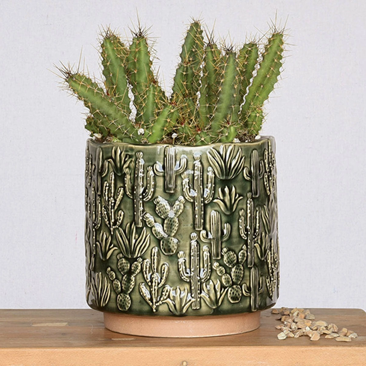 HomArt Cactus Planter Planters 3 HomArt Cactus Planter Planters