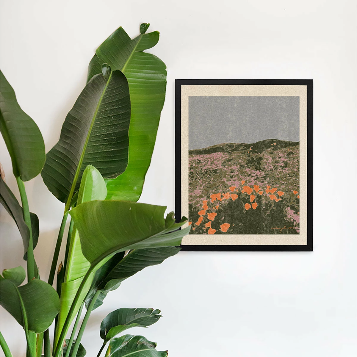 New California Poppies Art Print By Chloe Purpero Johnson 4 New California Poppies Art Print By Chloe Purpero Johnson