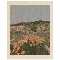 New California Poppies Art Print By Chloe Purpero Johnson 7 New California Poppies Art Print By Chloe Purpero Johnson
