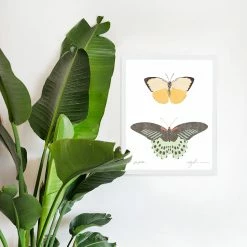 Kids Farfalle Art Print By Chloe Purpero Johnson