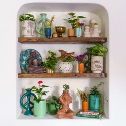 Jungalow® Cosmic Desert Kaya Pot By Justina Blakeney™ 9 Jungalow® Cosmic Desert Kaya Pot By Justina Blakeney™