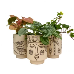 Jungalow® Planters Agatha Kaya Face Pot By Justina Blakeney™