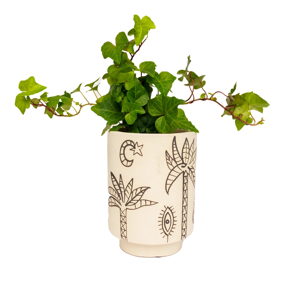 Jungalow® Cosmic Desert Kaya Pot By Justina Blakeney™ 3 Jungalow® Cosmic Desert Kaya Pot By Justina Blakeney™