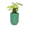 Jungalow® Planters Kelly Green Kaya Pot By Justina Blakeney™