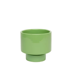 Jungalow® Kaya Shorty Ceramic Planter By Justina Blakeney™