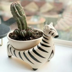 Jungalow® Zebra Savannah Garden Pot By Justina Blakeney™