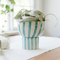 Jungalow® Kaya 2-Piece Ceramic Bowl Planter By Justina Blakeney™ Planters 25 Jungalow® Kaya 2-Piece Ceramic Bowl Planter By Justina Blakeney™ Planters