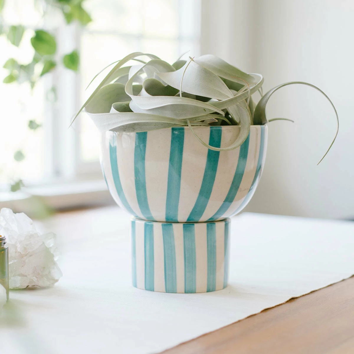 Jungalow® Kaya 2-Piece Ceramic Bowl Planter By Justina Blakeney™ Planters 11 Jungalow® Kaya 2-Piece Ceramic Bowl Planter By Justina Blakeney™ Planters