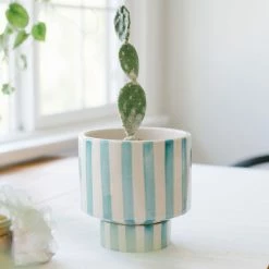 Jungalow® Kaya Shorty Ceramic Planter By Justina Blakeney™