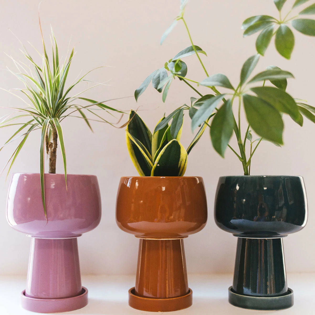 Jungalow® Kaya 3-Piece Ceramic Planter By Justina Blakeney™ 3 Jungalow® Kaya 3-Piece Ceramic Planter By Justina Blakeney™