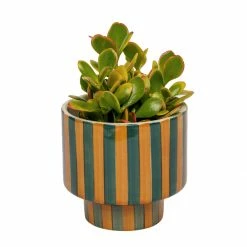 Jungalow® Kaya Shorty Ceramic Planter By Justina Blakeney™