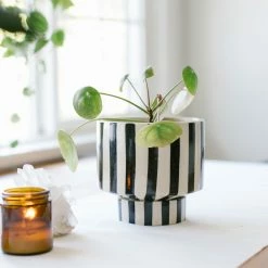 Jungalow® Kaya Shorty Ceramic Planter By Justina Blakeney™